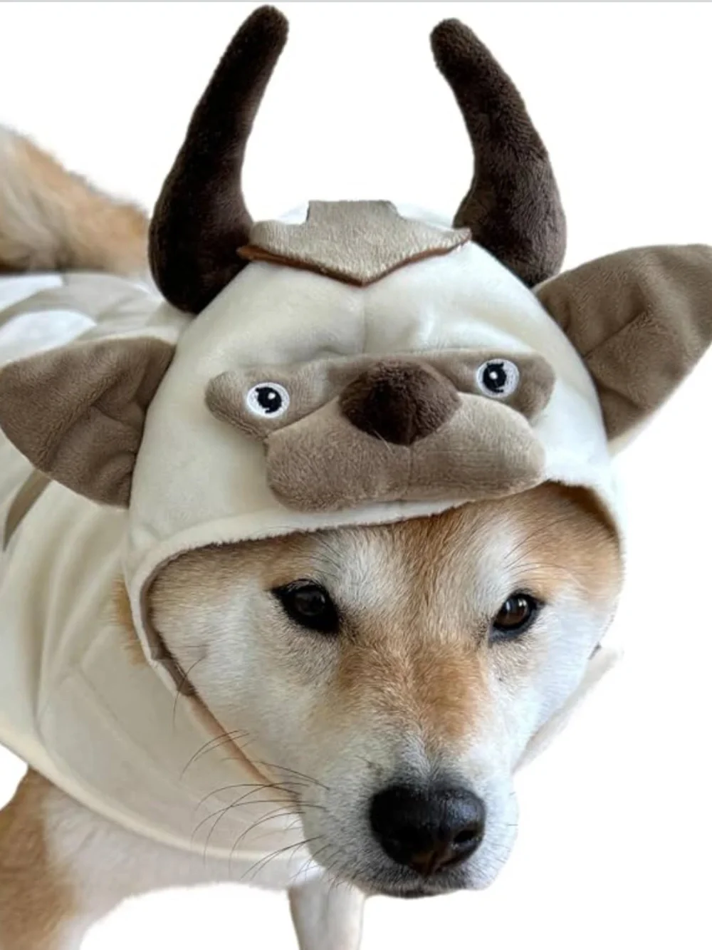 NWOT Appa Avatar Airbender Inspired Bull Oxen Viking Hoodie Costume with Horns